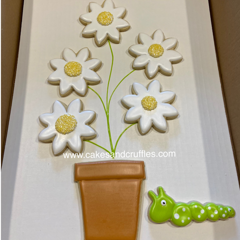 May 8th - Mother’s Day “Daisy Bouquet” Cookies [Child/Adult] (6-8p)