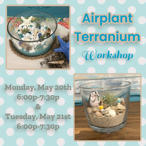 May 20th & May 21st - Airplant Terranium (6p-7:30p)